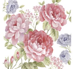 Ubrousky PAW TETE L (20ks) Julietta