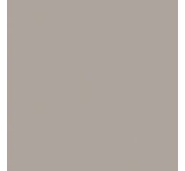 Ubrousky PAW UNI L (20ks) Dark beige