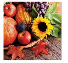 Ubrousky PAW Dekor L (20ks) Autumn Treasures