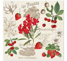 Ubrousky PAW Dekor L (20ks) Summer Fruits