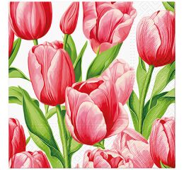 Ubrousky PAW Dekor L (20ks) Tulip Time