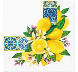 Ubrousky PAW Dekor L (20ks) Mediterranean Frame