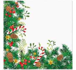 Ubrousky PAW Dekor L (20ks) Decorative Twigs