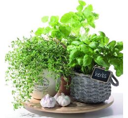 Ubrousky PAW Dekor L (20ks) Flavor of Herbs