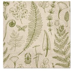 Ubrousky PAW Dekor We Care (20ks) Forest Nature