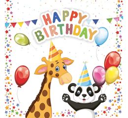 Ubrousky DAISY L (20ks) My Birthday