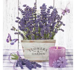 Ubrousky DAISY L (20ks) Lavender in a Wooden Pot