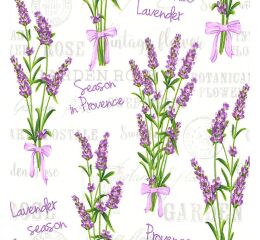 Ubrousky DAISY L (20ks) Lavender Season in Provence