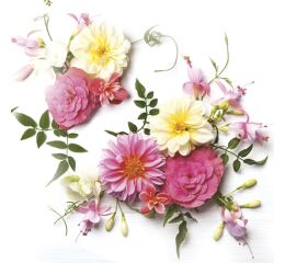 Ubrousky DAISY L (20ks) Delicate Flowers Composition
