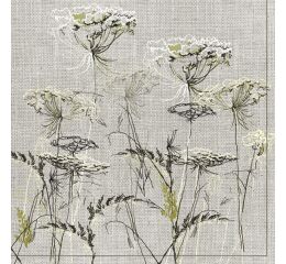 Ubrousky DAISY L (20ks) Achillea Sketch on a Linen Background