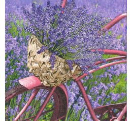 Ubrousky DAISY L (20ks) Lavender Bicycle