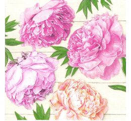 Ubrousky DAISY L (20ks) Romantic Peonies on White Wood