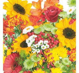 Ubrousky DAISY L (20ks) Rich Autumn Bouquet