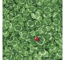 Ubrousky DAISY L (20ks) Clover Background with Ladybug