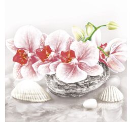 Ubrousky DAISY L (20ks) Orchid on Oriental Stone with Shelss