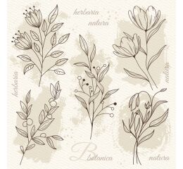 Ubrousky DAISY L (20ks) beige Flower Illustration on Watercolor Paper