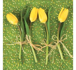 Ubrousky DAISY L (20ks) Yellow tulips in the Garden