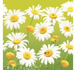 Ubrousky DAISY L (20ks) Lovely Marguerites on Green