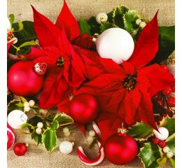 Ubrousky MAKI L (20ks) Poinsettias with Mistletoe