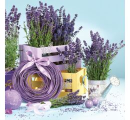 Ubrousky MAKI L (20ks) Lavender Indoors