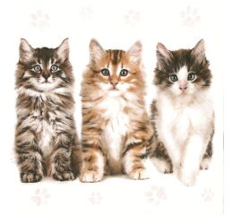 Ubrousky MAKI L (20ks) Three Beautiful Cats