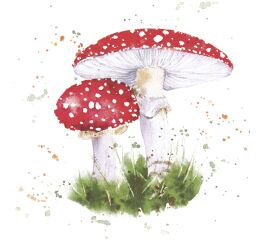 Ubrousky MAKI L (20ks) Painted Toadstool