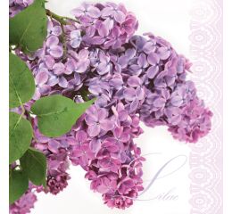 Ubrousky MAKI L (20ks) Lilac Twig