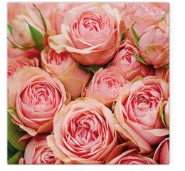 Ubrousky PAW TETE L (20ks) Lots of Roses