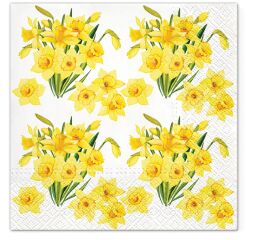 Ubrousky PAW TETE L (20ks)