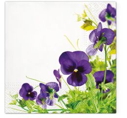 Ubrousky PAW TETE L (20ks) Pansies Frame