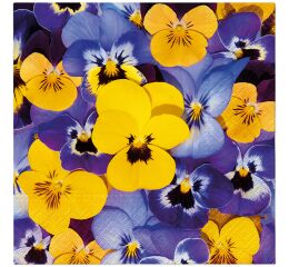 Ubrousky PAW TETE L (20ks) Looking Pansies