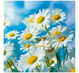 Ubrousky PAW TETE L (20ks) Sun Daisies