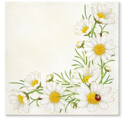 Ubrousky PAW TETE L (20ks) Bunch of Marguerites (cream)