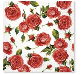 Ubrousky PAW TETE L (20ks) Rosy Style