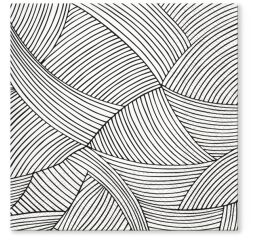 Ubrousky PAW TETE L (20ks)