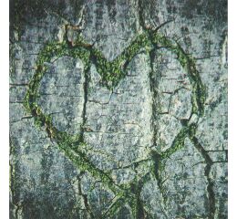 Ubrousky PAW Dekor L (20ks)