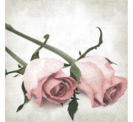 Ubrousky PAW Dekor L (20ks)