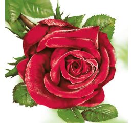 Ubrousky MAKI L (20ks) Big Red Rose