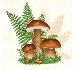 Ubrousky MAKI L (20ks) Boletus with Leaves of Fern