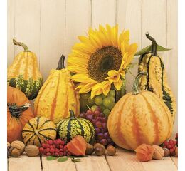 Ubrousky MAKI L (20ks) Autumn Pumpkins