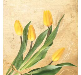 Ubrousky MAKI L (20ks) Bunch of Yellow Tulips