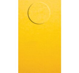 Vizitkový karton W39