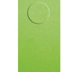 Vizitkový karton W40