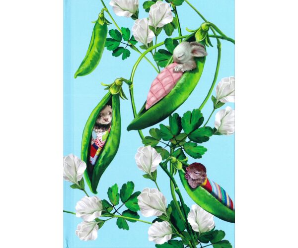 Notes A5 64 l linkovaný 