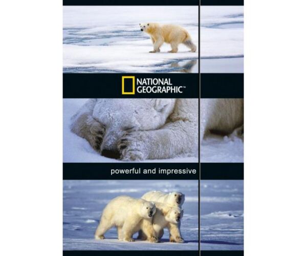 Desky s gumou National Geographic A4