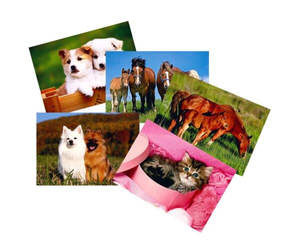 Pohlednice S-384 Zvířátka mix