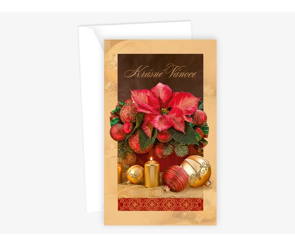 Vánoční přání N 12-276