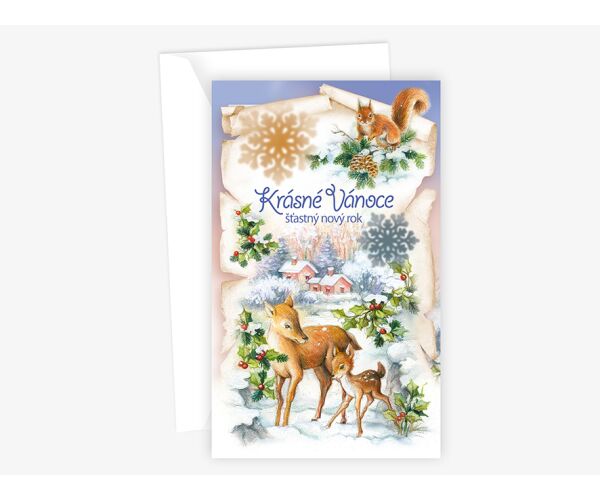 Vánoční přání N 12-311