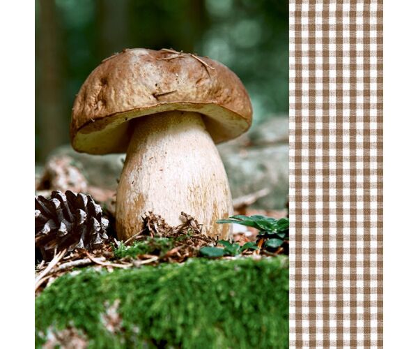 Ubrousky GOMAR L (20ks) Lets go mushrooming