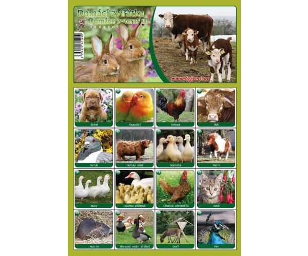 Pexeso A4 - Domácí zvířátka